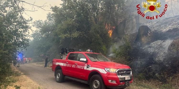 Incendi in Sicilia, roghi da Palermo a Messina: 500 sfollati a Sciacca