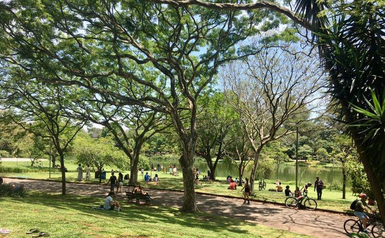 Parque Ibirapuera recebe 'aulão' gratuito de defesa pessoal feminina neste domingo