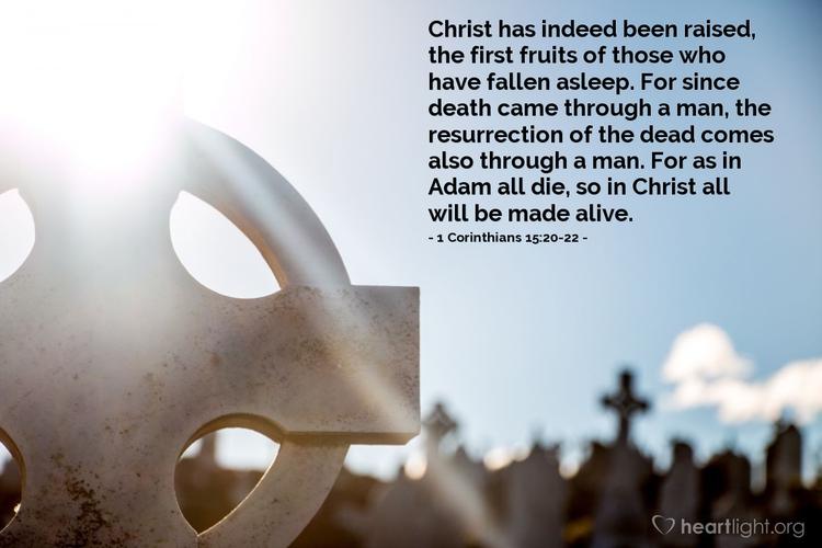 Verse of the Day - 1 Corinthians 15:20-22