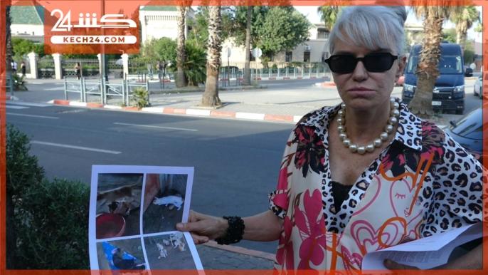 بالڤيديو: اهمال حيوانات يجر شخصين للقضاء بمراكش
