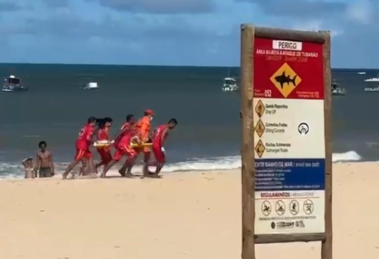 Deputado defende 'exterminar' tubarões após incidentes em PE; medida causaria desequilíbrio ambiental, alertam especialistas