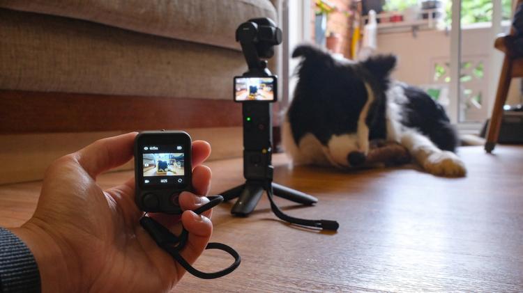 The DJI Osmo FrameTap controlling an Osmo Pocket 4P to film a dog.