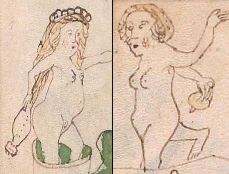 Neue Studie sieht in Teilen des Voynich-Manuskripts geheime Darstellungen von „Frauengeheimnissen“