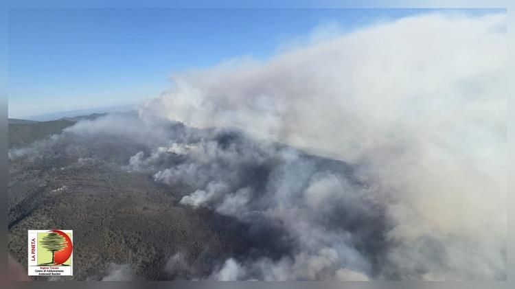 Incendio sul Monte Faeta: indagati due giardinieri di Lucca