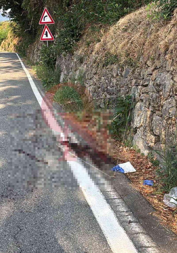 chiesanuova cuorgnè incidente moto