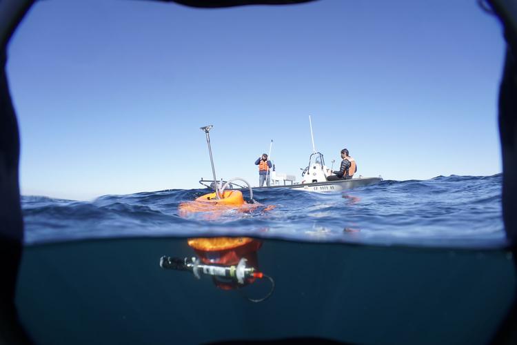 Do peixe à energia: como o calor recorde dos oceanos pode encarecer alimentos e afetar turismo