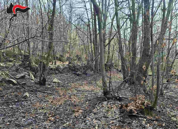 cuorgnè incendio boschivo a nava
