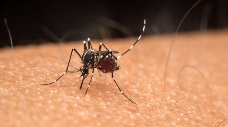 Mais de 400 escolas públicas de Roraima participam de mobilização nacional contra a dengue