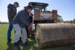 From Seed to Stadium: In Pursuit of the Perfect World Cup Pitch
