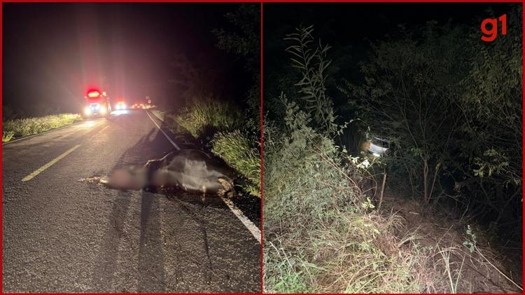 Carro bate em animal, cai em ribanceira e deixa dois feridos na MGC-342, em Araçuaí