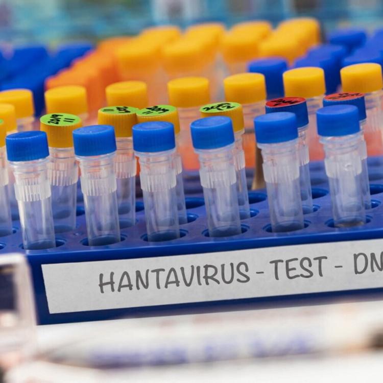 Hantavirus: test su una turista ricoverata a Messina. In quarantena a Milano l'uomo sull'a...