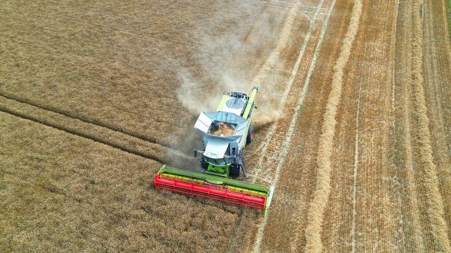 Pesticides, eau, loup&nbsp;: ce que contient le projet de loi d'urgence agricole adopté par l'Assemblée nationale