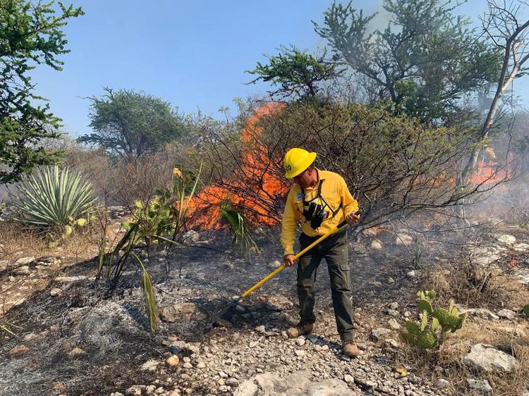 Caen incendios forestales en Morelos: aumenta personal para salvar los bosques