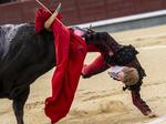 Importante tarde y grave lesión de Clemente ante la dura corrida B de Juan Pedro Domecq en Las Ventas