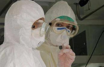 Virus Shamonda, Oms: "Diffusione improbabile". Lopalco: "È favorito da crisi climatica, svegliamoci"
