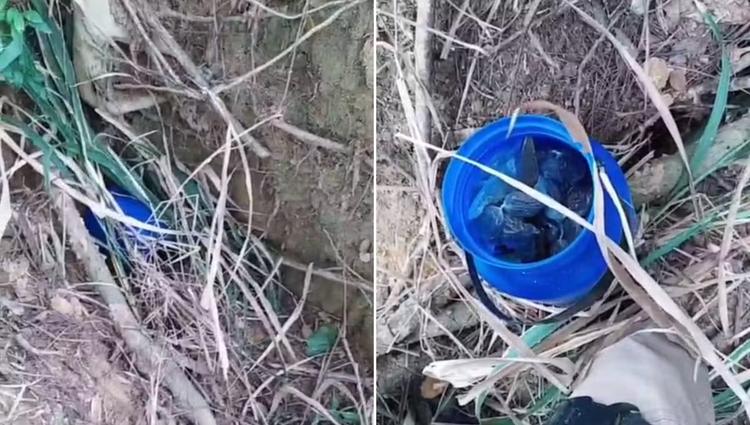 Polícia encontra drogas escondidas na raiz de árvore e prende três por tráfico em Itabirinha