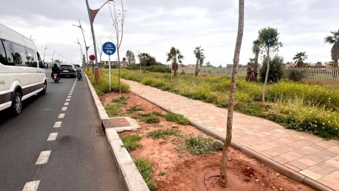 تهيئة طريق الشريفية..الساكنة تطالب بالحق في المساحات الخضراء؟