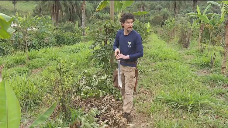 Com o avanço de um super El Niño, produtores brasileiros se preparam para extremos de chuva e seca