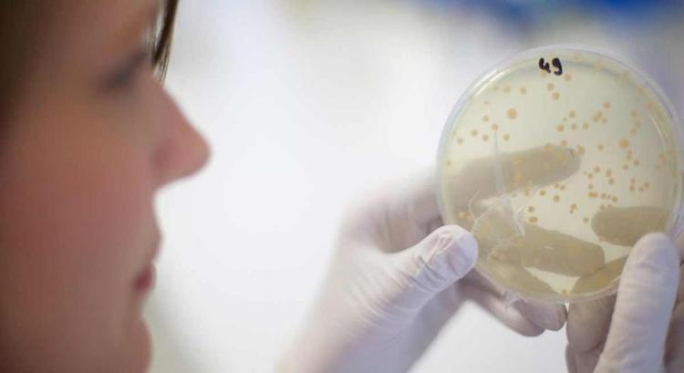 La biotech montpelliéraine Deinove signe un accord avec l’Institut Pasteur