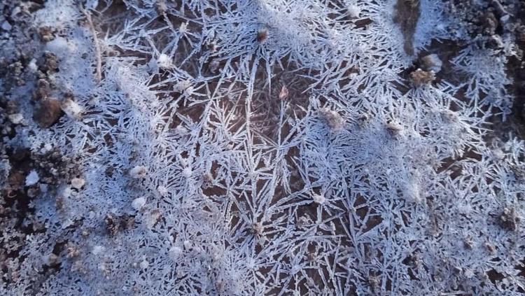 Frio intenso provoca geada e temperaturas negativas na Serra e Campos de Cima da Serra