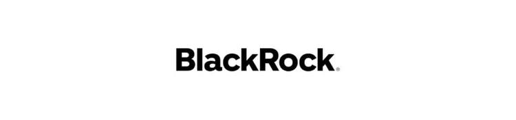 logo blackrock 1280x300