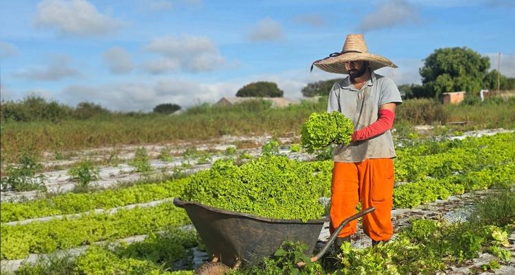 Prefeitura de Montes Claros conta com Programa de Desenvolvimento Rural