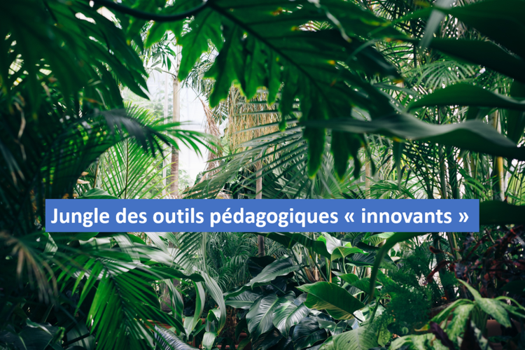 Trouver son chemin dans la jungle des outils pédagogiques “innovants” — Jérôme Bocquet (Linkedin)