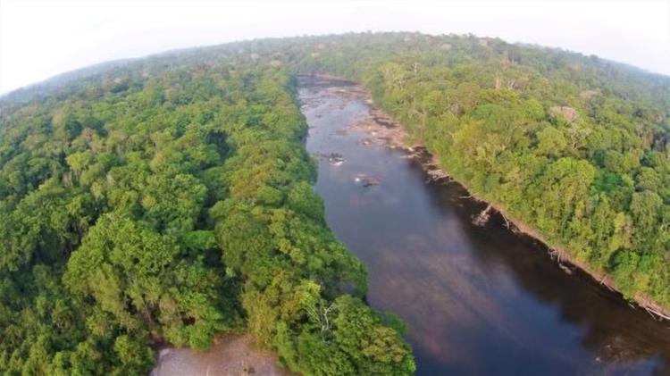 Quatro pessoas desaparecem em floresta de difícil acesso no Amapá