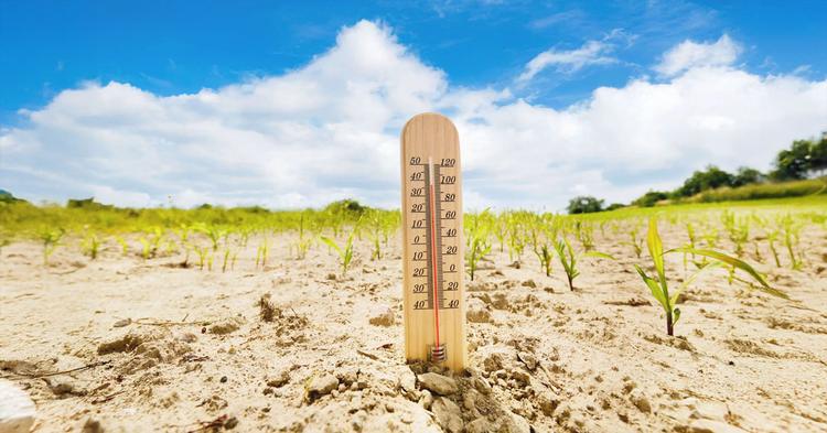 Clima e geopolítica ampliam volatilidade no agro