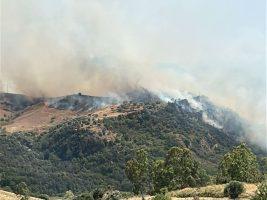 Incendi: responsabilità, presidi e coscienze in allerta