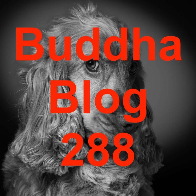 288-Dankbarkeit Podcast-Buddha Blog-Buddhismus im Alltag