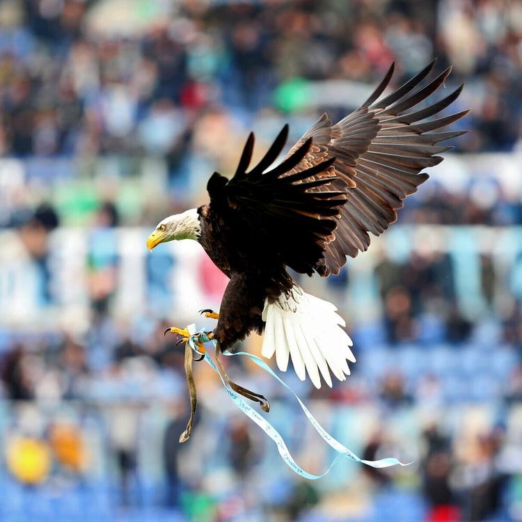 Colpo di pistola contro il Lazio Store a Ostia