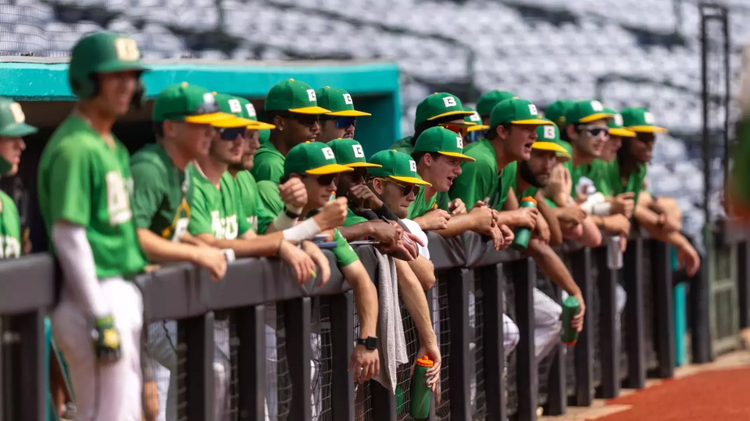 Both Belhaven baseball, softball earn NCAA Division III Tournament berths