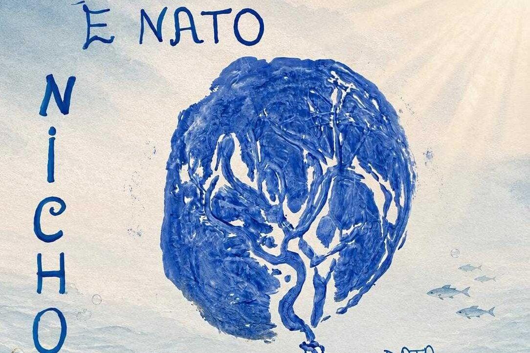 Cinque nascite in 24 ore: festa al reparto di Ostetricia dell’ospedale di Sapri