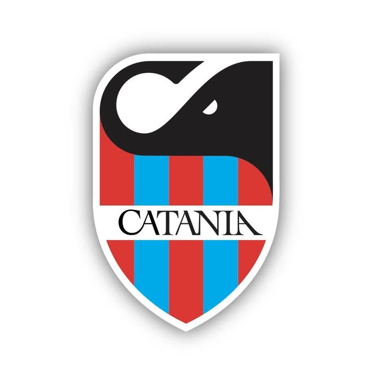 Fideiussione Catania, scadenza mancata: si guarda al 10 agosto