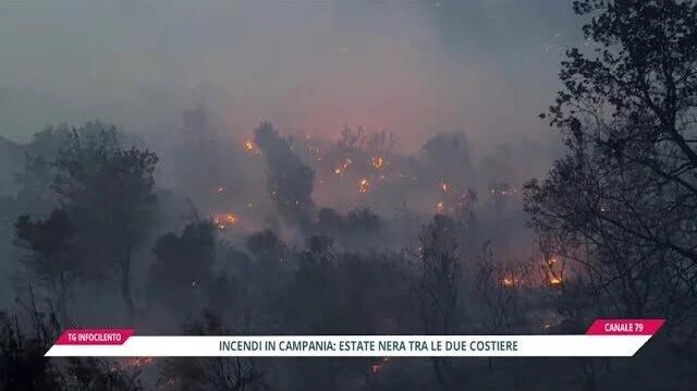 Incendi nel Salernitano, estate devastante: colpite Costiera ed entroterra&nbsp;
