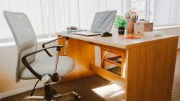 Microsoft Office Professional 2021 for Windows: Lifetime License
