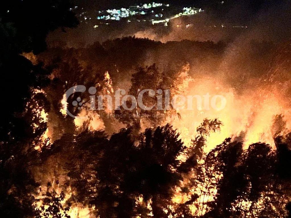 Incendio a Serre durante la festa patronale: fiamme nei terreni, si ipotizza l’origine dolosa