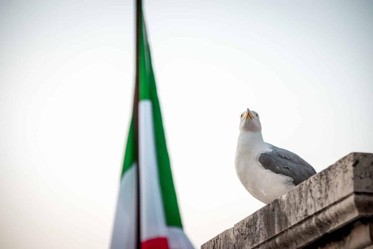 L’Intricato Mondo dei BTP Italia: Cedole, Inflazione e Realtà
