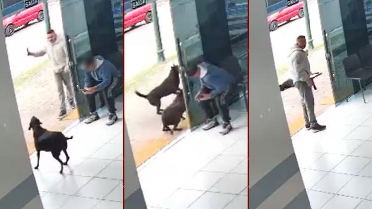 Polícia Civil 'inocenta' PM do Paraná que matou cão comunitário e divulga vídeo do momento dos tiros