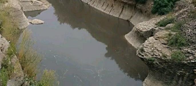 هل سيتدخل عامل الإقليم لوقف النزيف البيئي؟..”المرجان” يغرق واد إيناون بنواحي تازة