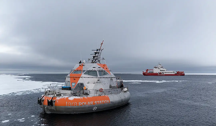 La Tara Polar Station rencontre le Xue Long 2 dans la banquise arctique