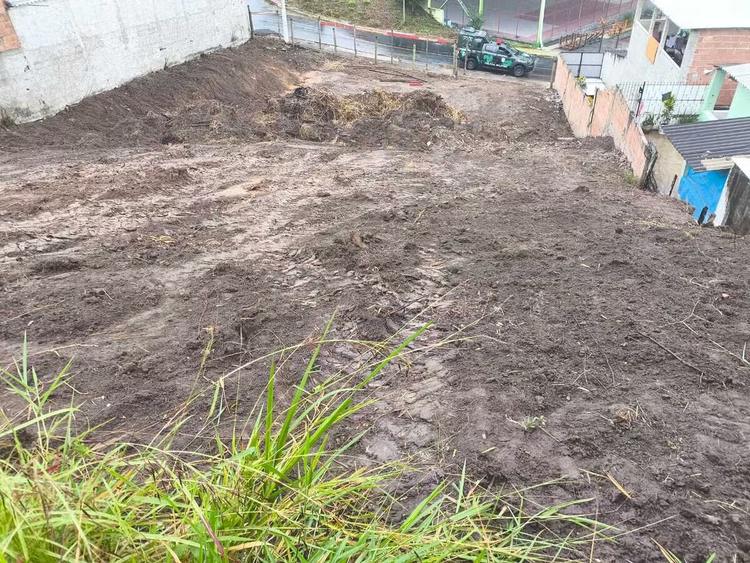 Polícia Ambiental flagra extração irregular de árvores em Volta Redonda