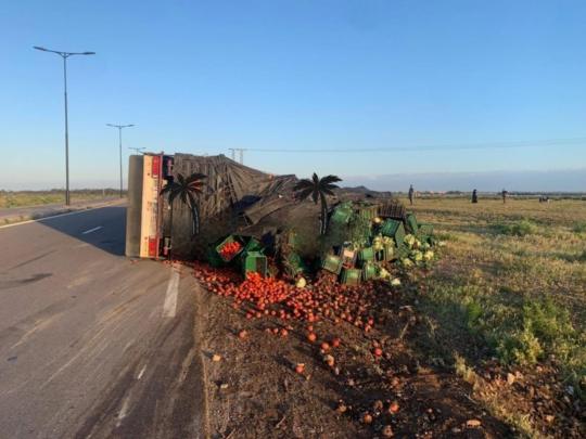 انقلاب شاحنة محمّلة بالخضر والحوامض بواحة سيدي إبراهيم دون خسائر بشرية +صور