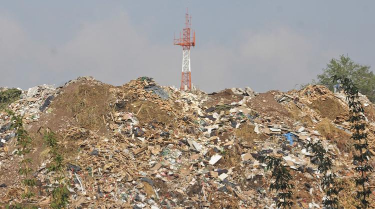 Familias de Cuernavaca denuncian vivir entre la peste y la basura en El Polvorín