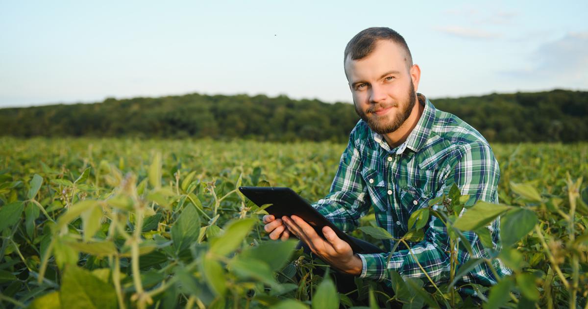 Cooperativas projetam R$ 160 bi e reforçam regionalização do crédito rural