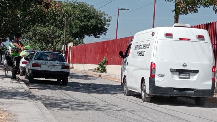 Bebé de un año muere tras masticar una planta medicinal "Lengua de Vaca" en su patio