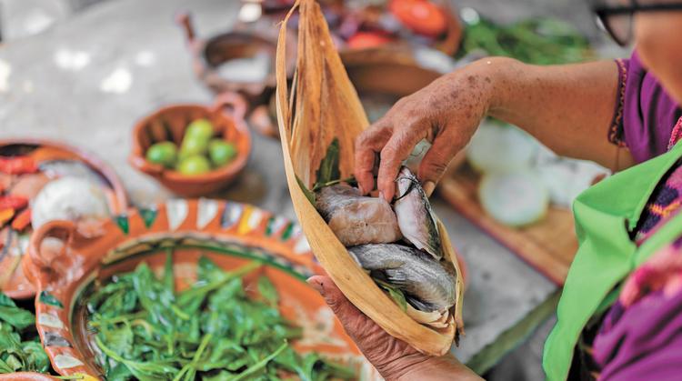 Sabor y tradición: Todo listo para la 2ª Expo Feria del Tamal de Bagre en Tlaltizapán