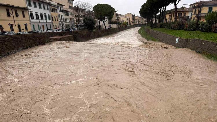 Nubifragi nella provincia di Firenze, alberi caduti e allagamenti