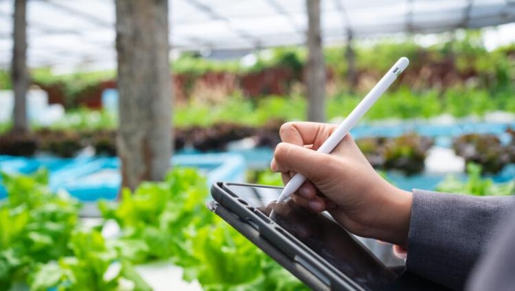 Netherlands Invests in Crop Phenotyping Facility